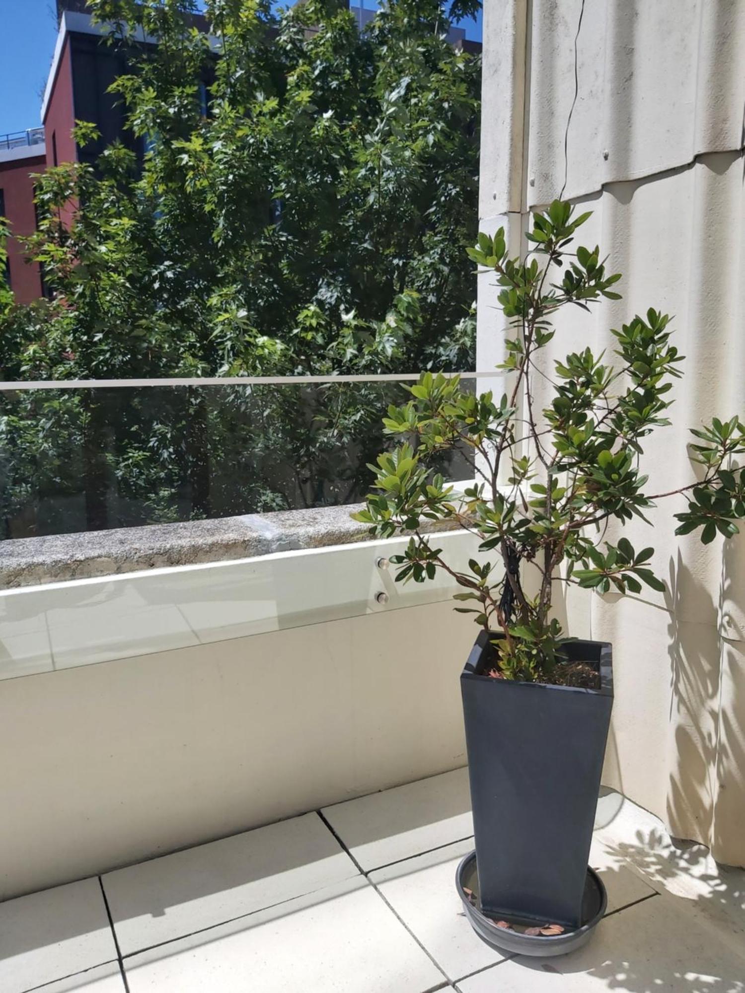 Porto Terrace Apartment Kültér fotó